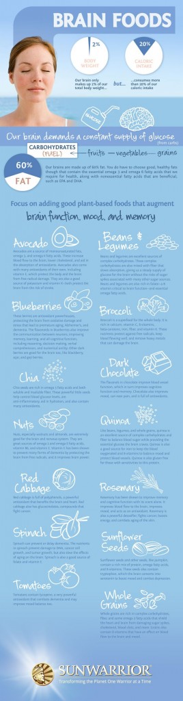 Super Foods for the Brain