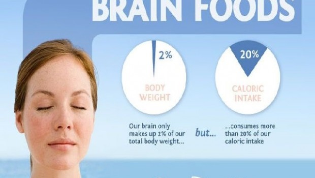 Foods for a Healthy Brain