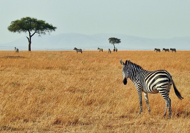 Reasons To Visit Tanzania