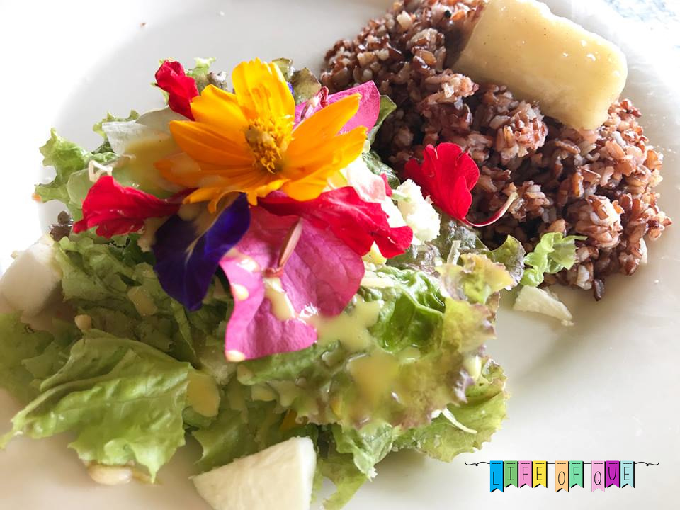 Bohol Bee Farm Review