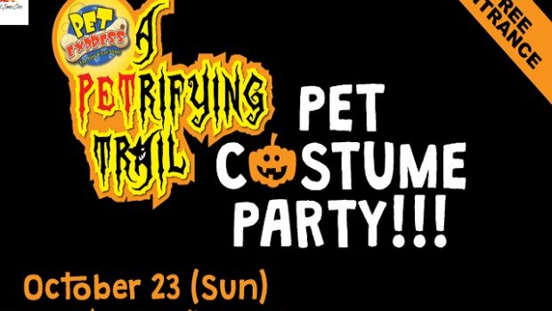 pet-express-a-petrifying-trail-pet-costume-party